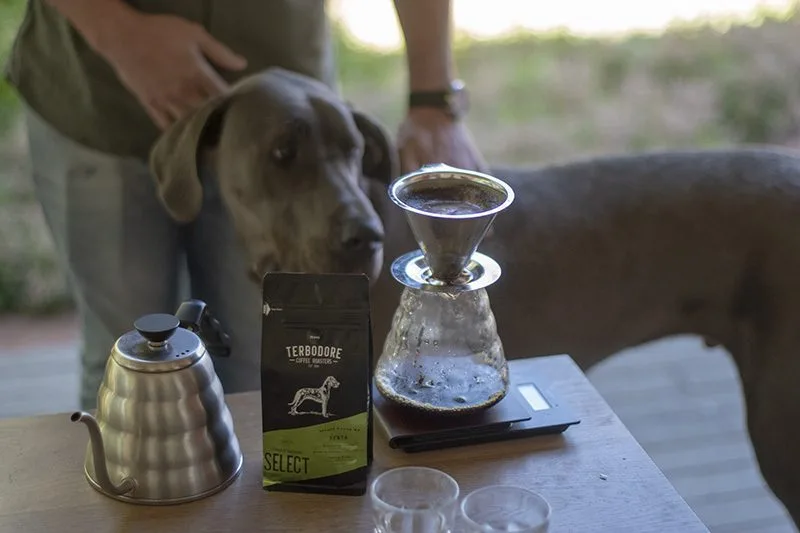 Great Dane Dog, Terbodore SELECT coffee