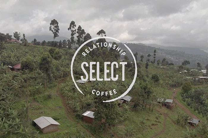 Terbodore SELECT relationship coffee logo with plantation in background