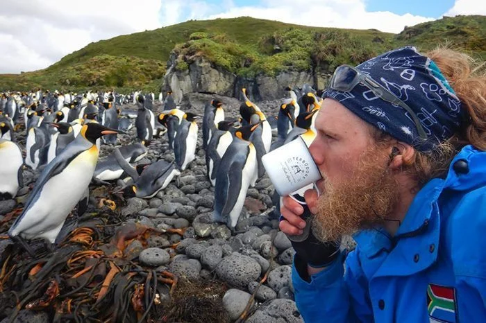 Marion Island, Sean Evans drinking Terbodore coffee from a Terbodore tin cup - Penguins in background