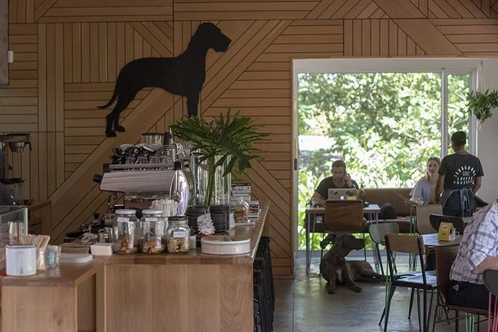 Big Dog Cafe in Franschhoek - Terbodore