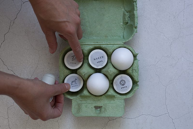 Man putting coffee capsules into an egg crate - Terbodore