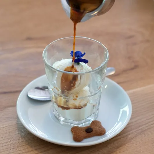 Coffee being poured into a Mug with ice cream - Terbodore