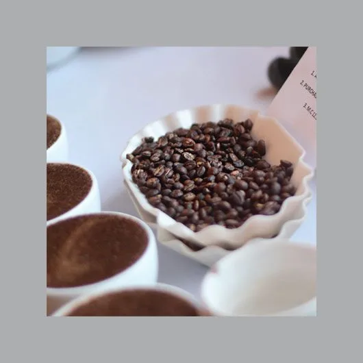 Coffee beans in a ceramic bowl - Terbodore