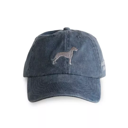 Washed Navy Classic Cap from front - Terbodore