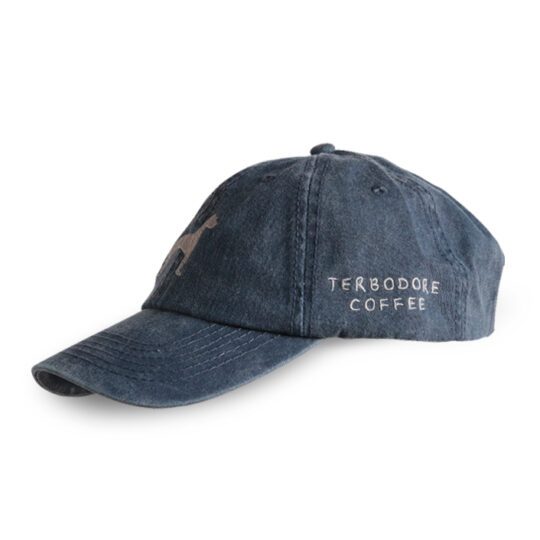 Washed Navy Classic Cap from side - Terbodore