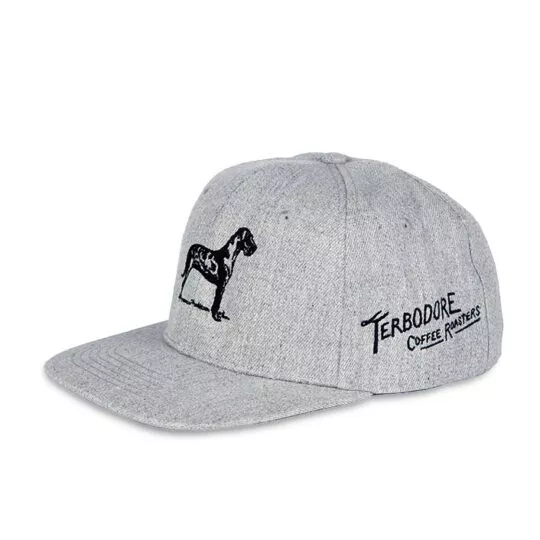 Light Grey Peak Cap from Front - Terbodore