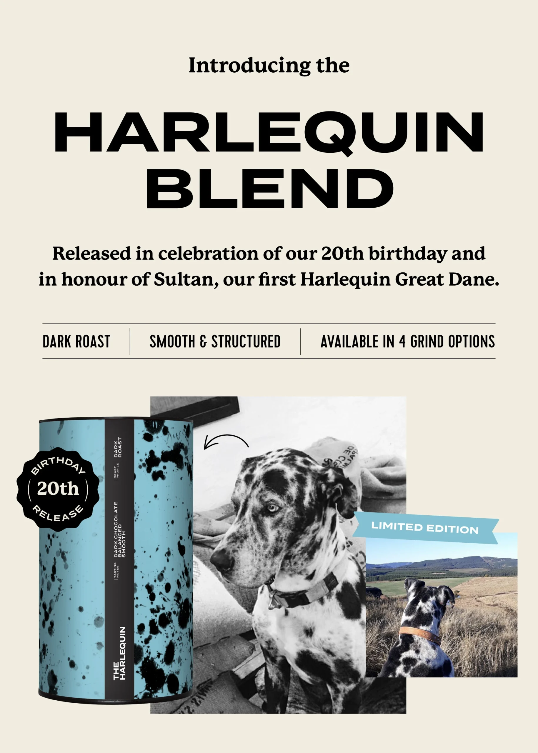 The Harlequin